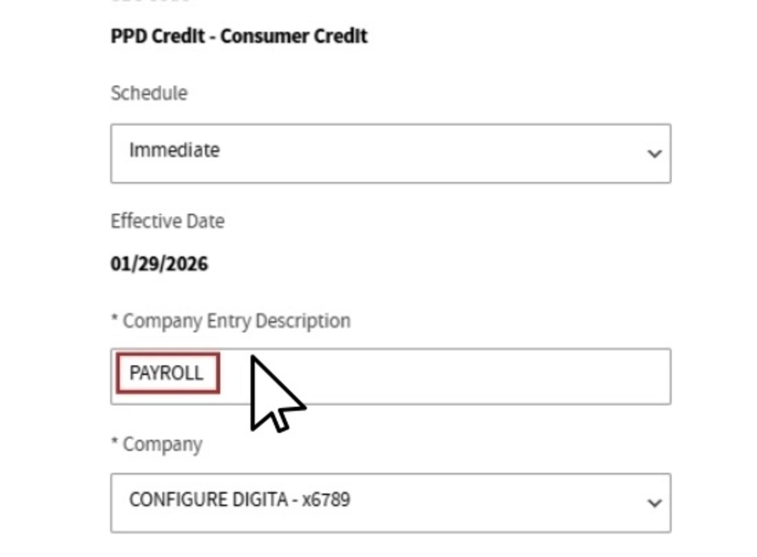 Company Entry Descriptions