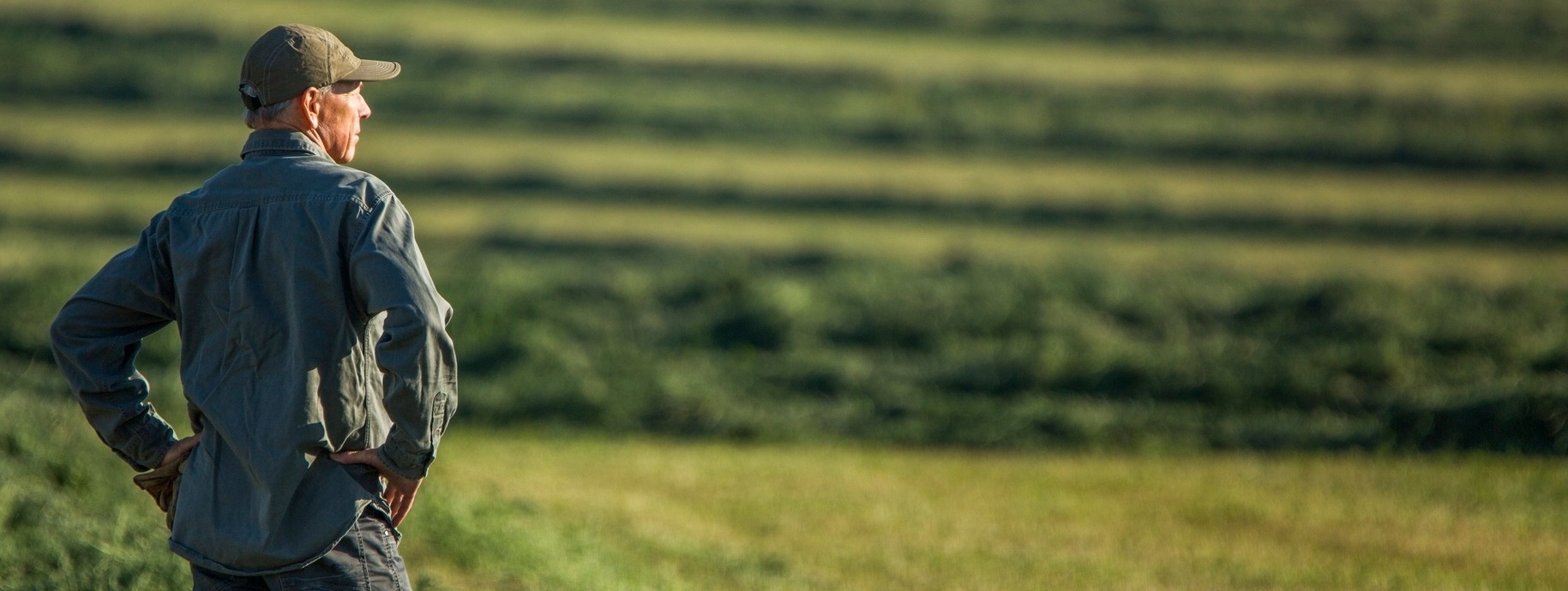 Man looking at field