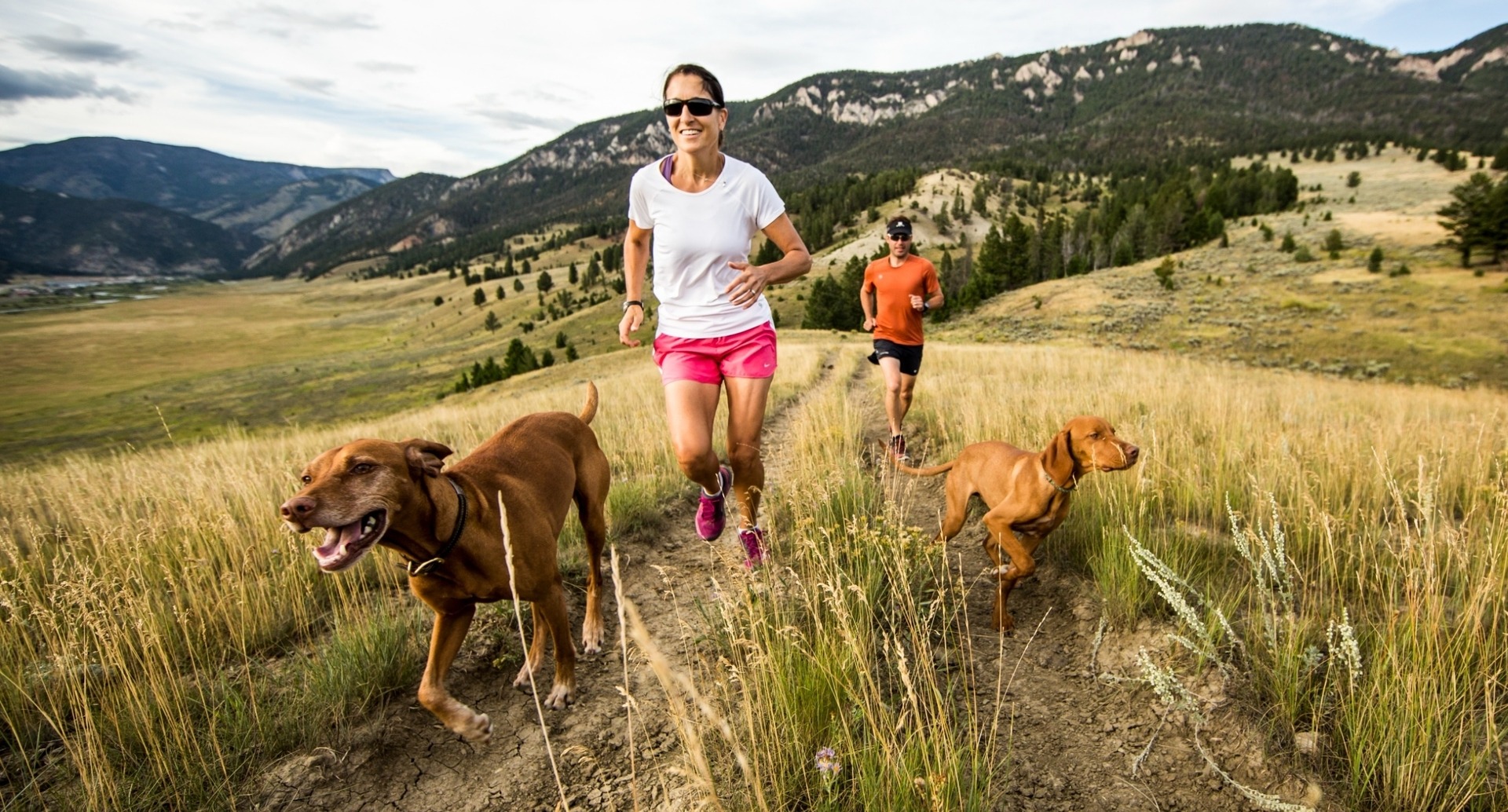 people jogging on a trail with dogs